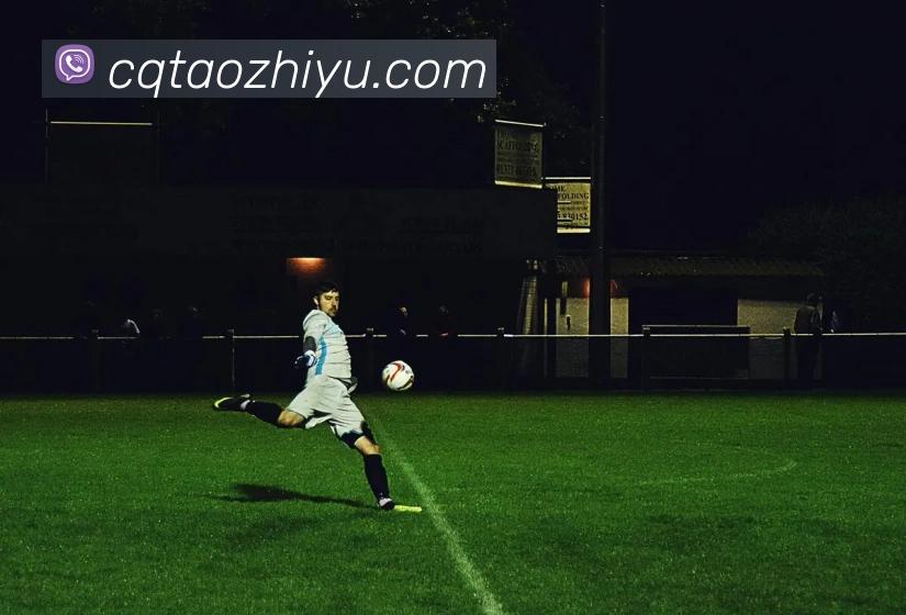 数据分析功能